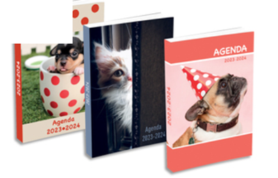 H - COLLEGE JV - AGENDA CARTONNE